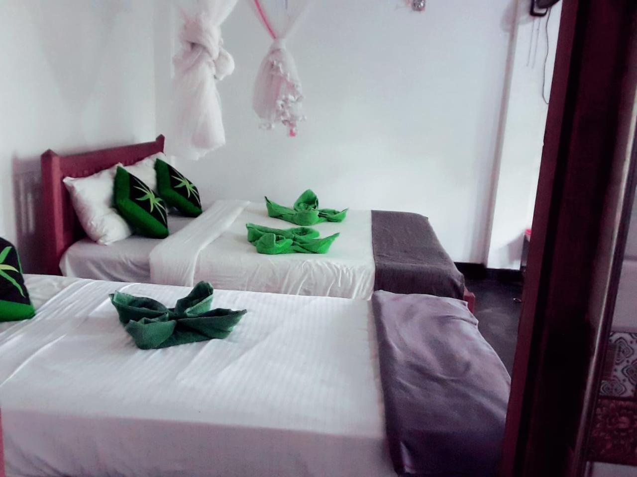 אלה Enthral View Homestay מראה חיצוני תמונה