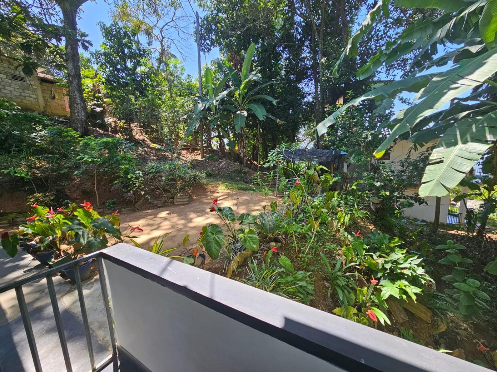 אלה Enthral View Homestay מראה חיצוני תמונה